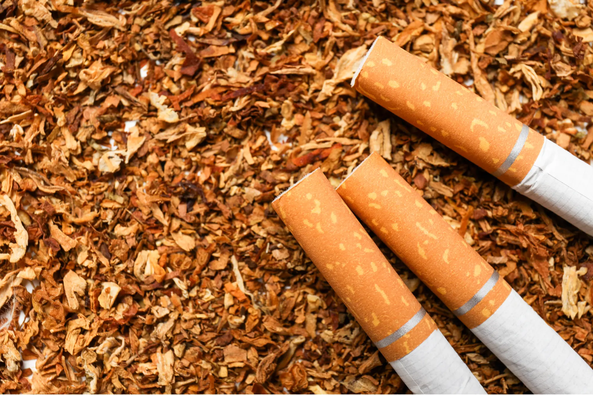 Cigarette Filters 1